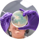 Influence the condition of the intestines and take care of them