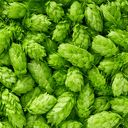 Hops extract