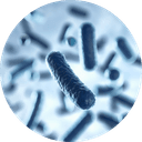What is microbiome?